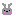 ウサギ
