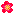 梅