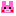 ブタウサギ