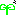 新芽