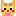 ﾜﾝﾁｬﾝ