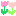 はな