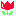ちゅーりっぷ
