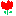 チュウリップ