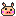 ブタ