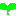 ｗ