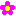お花♪