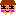 こまきのこ