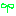 芽
