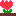 ちゅうりっぷ