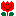 チューリップ