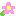 フラワー