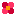 花2