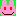 usagi