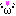 顔