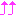 ↑↑