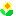 ひまわり