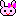 うさちゃん♪