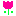 チューリップ