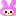 うさぎ