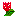 チューリップ