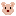 クマ