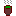 茶