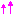 顔