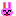 うさぎ
