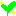 成長