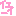 遺影