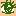 きらきら