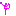 新体操