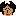 acorn