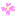 さくら