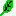 葉っぱ