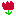 はな