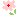 お花