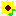 ひまわり