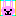 ♪うさぎ♪