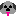リコ　トイプードル