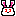 白うさぎ
