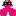たぬきん