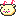 犬