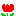 チュウリップ