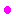 ・