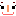 nikoniko