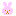 うさぎ