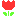 a　tulip