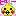 オカメインコ☆